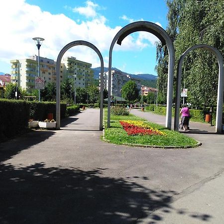 Apartament Nora Brašov Exteriér fotografie