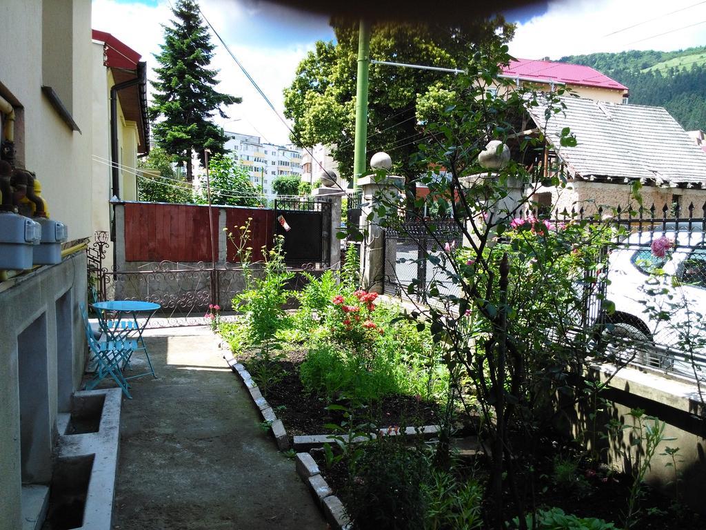 Apartament Nora Brašov Exteriér fotografie